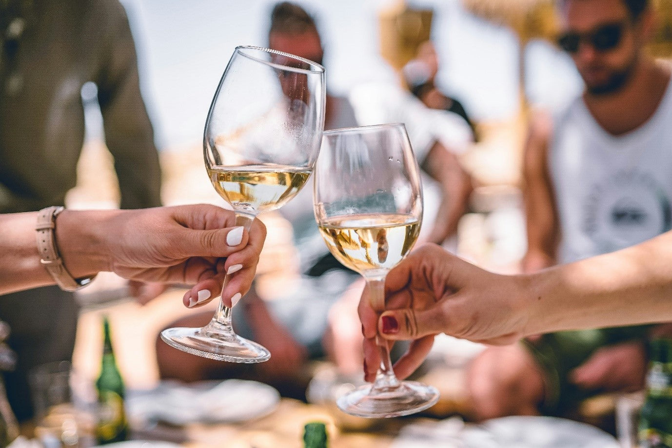 Wine Glass Vs Champagne Glass: What is the Difference?  thinKitchen
