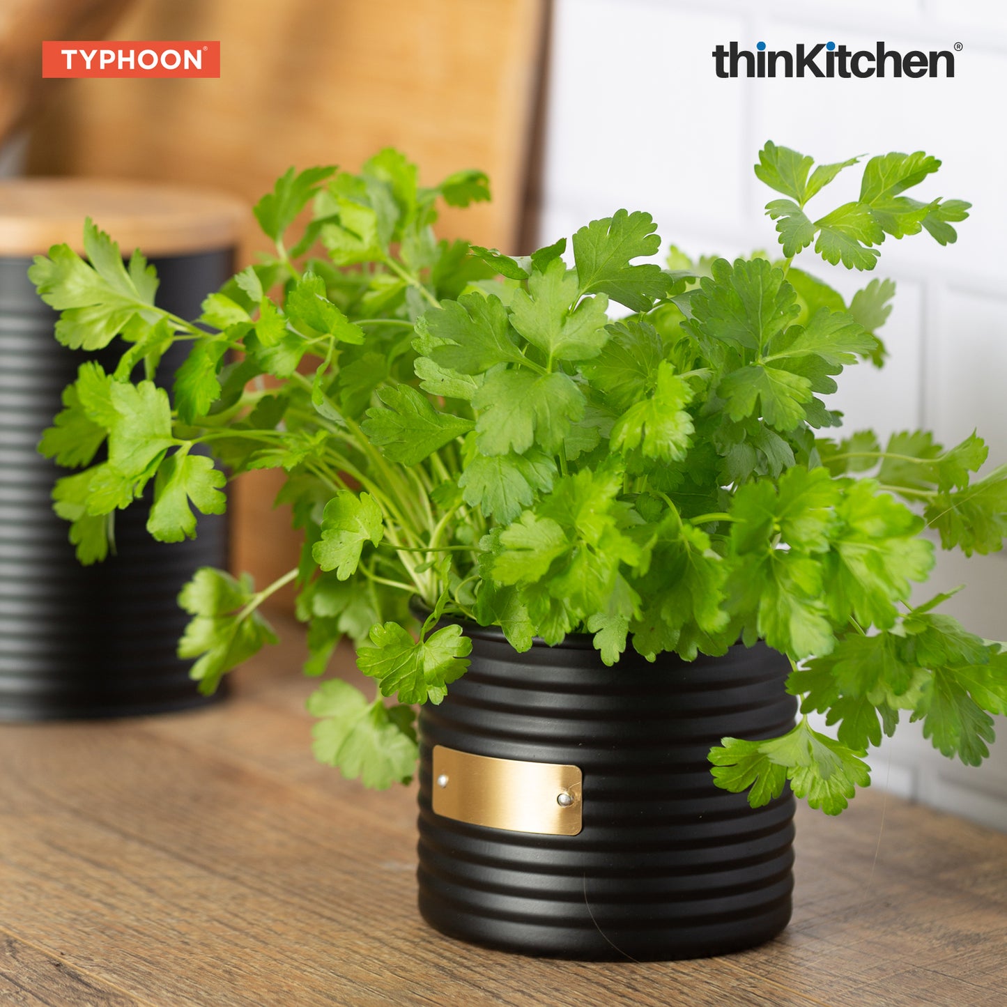 Typhoon Otto Herb Planter