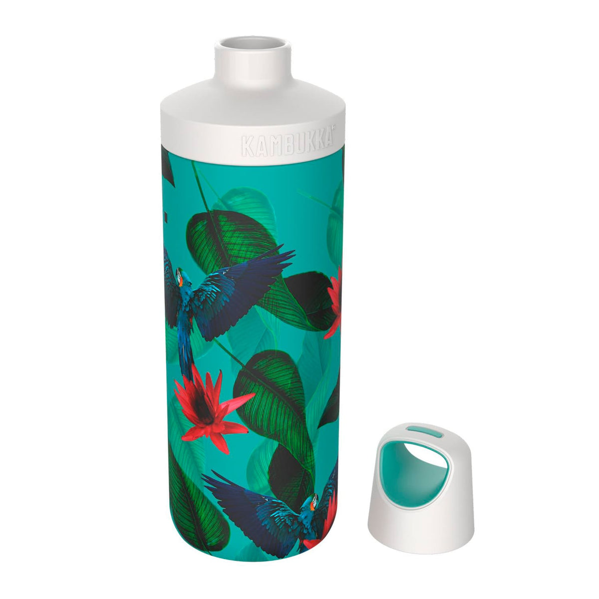 Kambukka Reno Parrots Stainless Steel Vacuum Insulated Water Bottle, 500ml