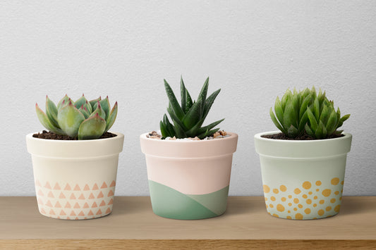 Flower Pot Design Ideas: 10 wonderful pot decoration ideas