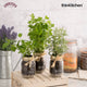 Kilner Preserve Jar, 1 Litre