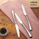 Culinex by thinKitchen | Dora 13/0 Stainless Steel All Purpose Knife, Mirror Finish, Set of 2