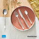 Amefa Martin Stainless Steel Mocca Spoon Set, 6-pc