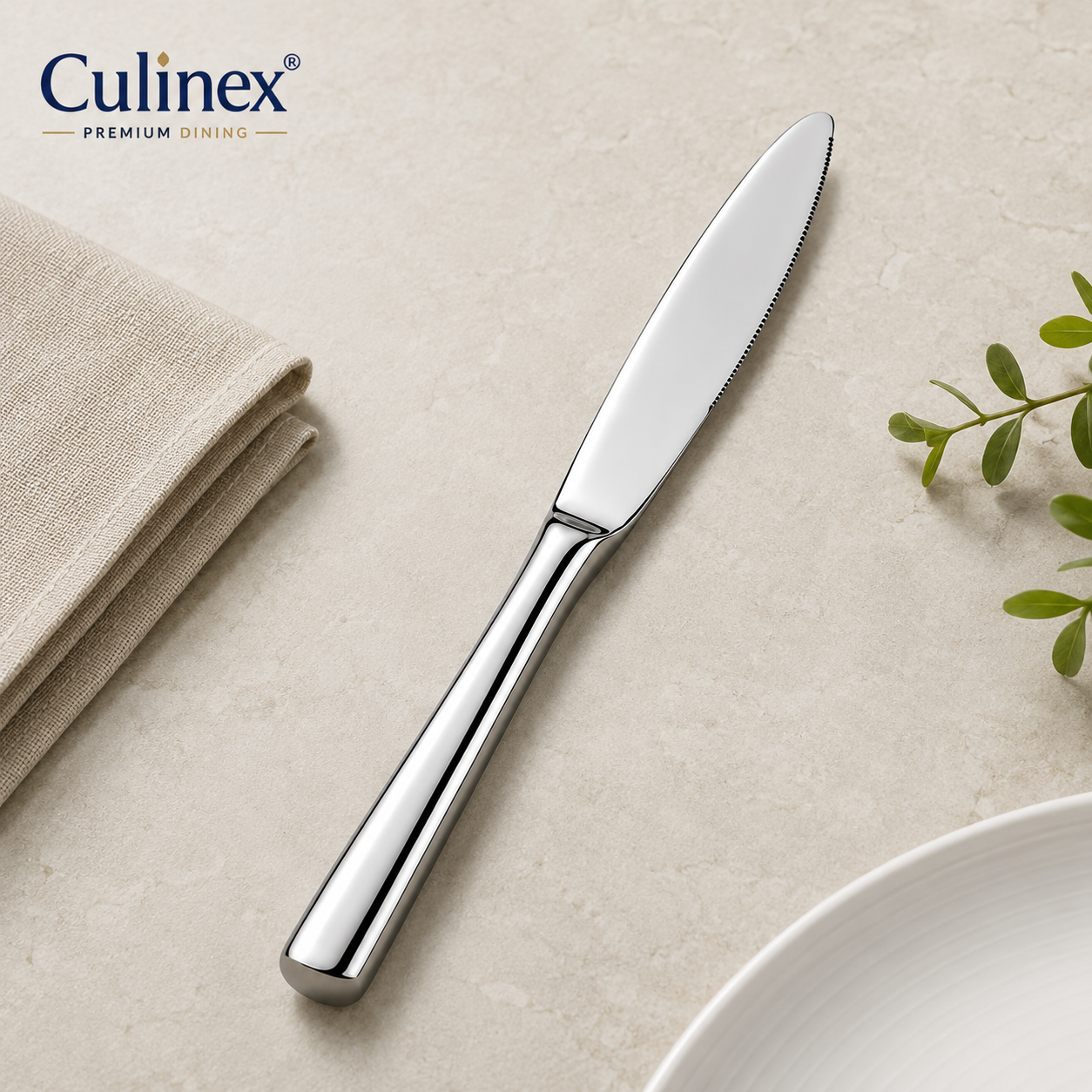 Culinex Stainless Steel 8.5" Premium Knife Set of 2 for Dining Table, Kitchen | Rustproof Dinner Knives, Silver Flatware by thinKitchen (Essen) - 4