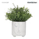 KitchenCraft Mini Planter with Abstract Face Design