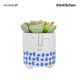 KitchenCraft Ceramic Plant Pot with Blue Happy Face Design