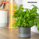 Typhoon Monochrome Herb Planter Grey