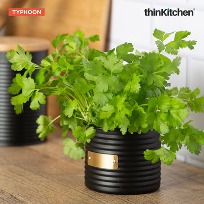 Typhoon Otto Herb Planter