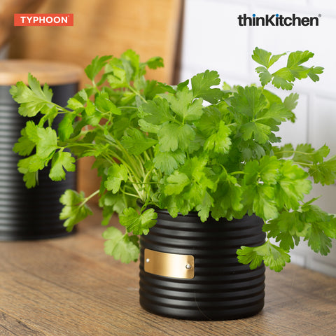 Typhoon Otto Herb Planter