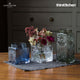 Dartington Crystal Marguerite Square Flower Vase