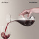 Final Touch Conundrum Aerator Decanter
