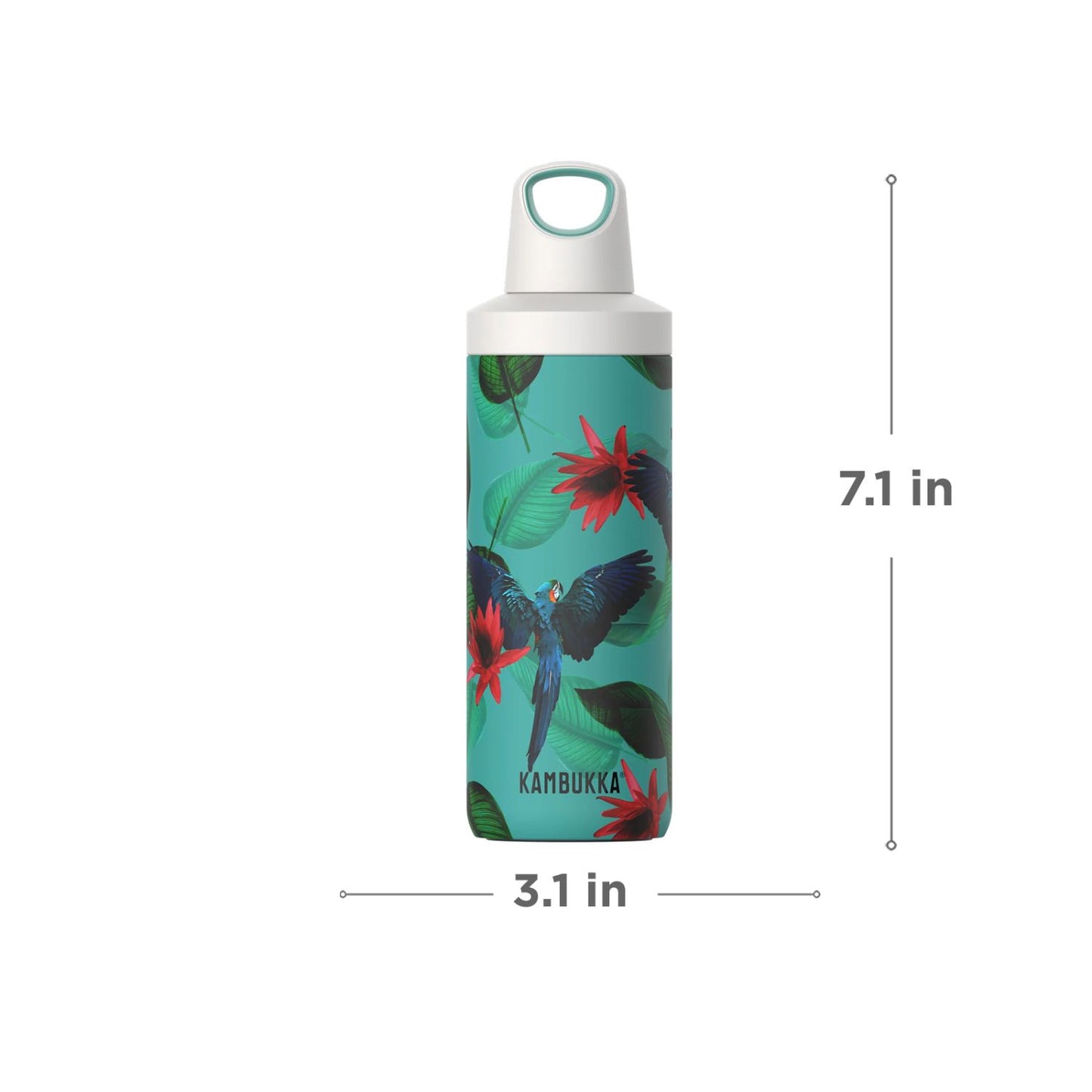 Kambukka Reno Parrots Stainless Steel Vacuum Insulated Water Bottle 500ml