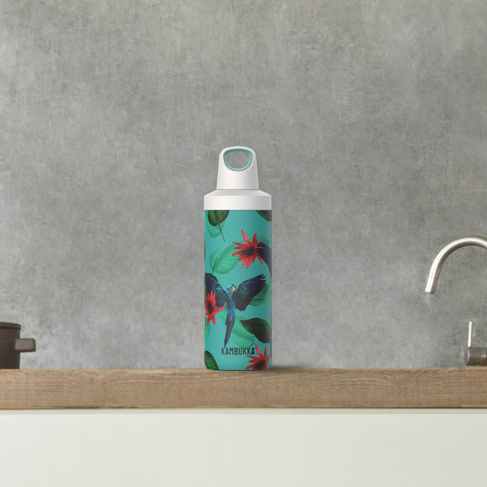 Kambukka Reno Parrots Stainless Steel Vacuum Insulated Water Bottle 500ml