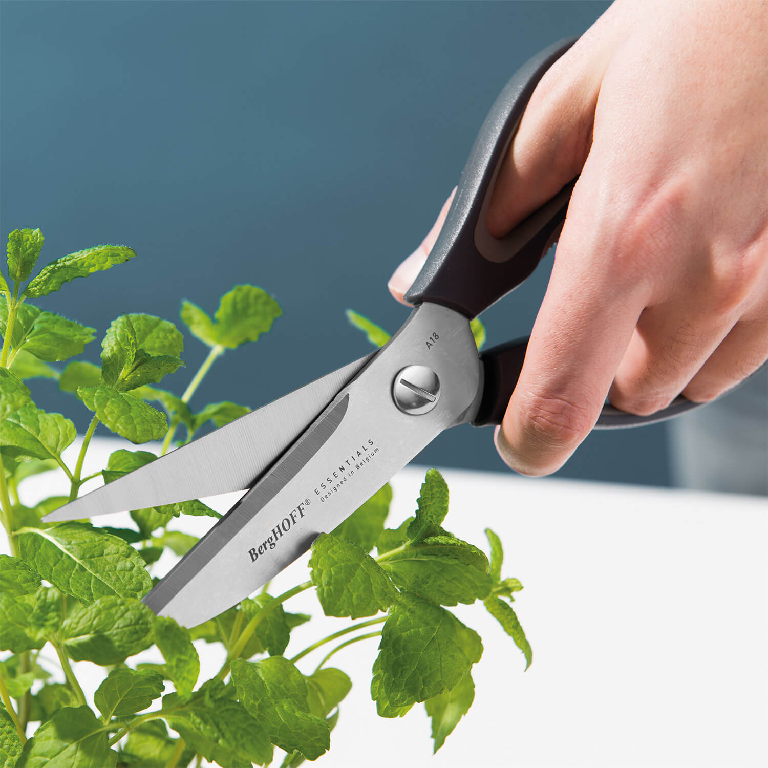 Berghoff Essentials 8 5 Stainless Steel Scissors Grey - 1
