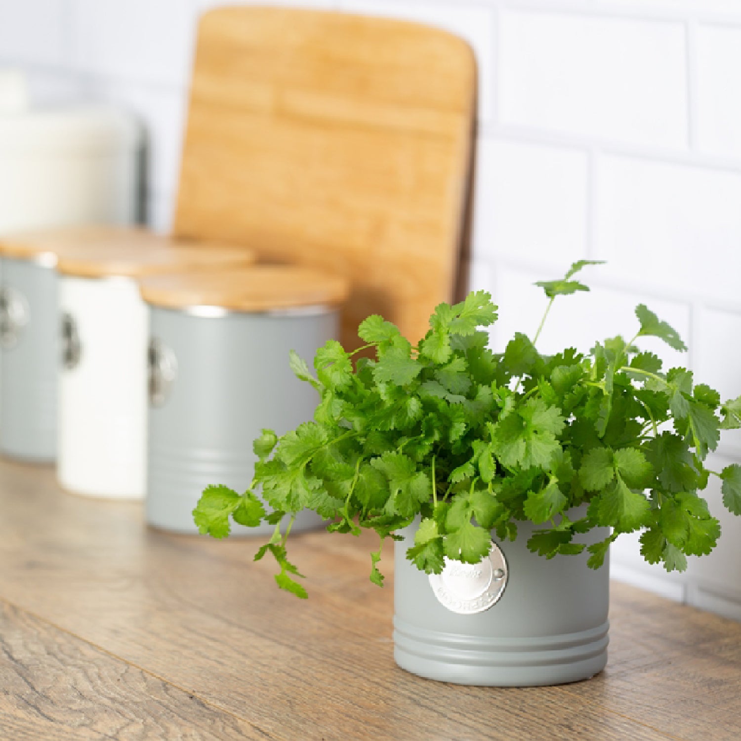 Typhoon Living Herb Planter, Grey