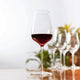 Dartington x Vaniitha Jaiin : The Connoisseur Collection - Universal Wine Glass Set of 2