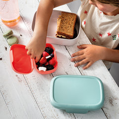 Premium Leo To Go Kids lunch Set