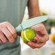 BergHOFF Leo Vegetable Knife With Zester, 11 cm - Mint